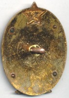 Badge  