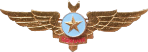 Нагрудный знак Штурман 