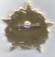 Badge  