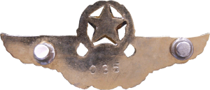 Badge Bombardier 
