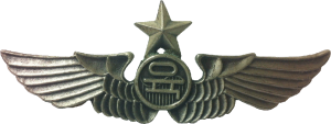 Badge Senior pilot 
