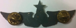 Badge Senior pilot 