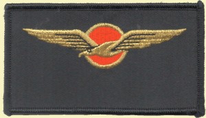 Нагрудный знак Пилот 