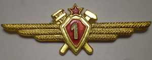 Badge Technician 1st class 