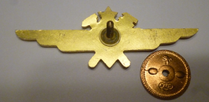 Badge Technician 1st class 