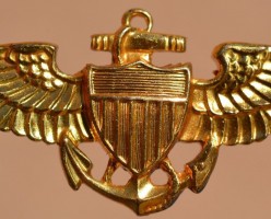 Badge Pilot 