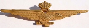 Нагрудный знак Пилот 