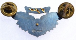 Badge Aircrew man 