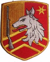 Нагрудный знак Пограничная охрана 