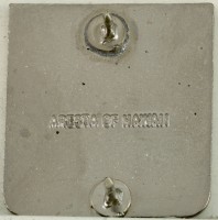Badge 876th Engineer Aviation Battalion 