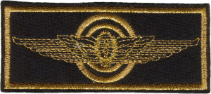 Нагрудный знак Пилот 