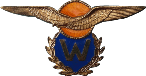 Нагрудный знак Пилот-наблюдатель 