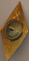 Нагрудный знак ЛИИВТ  