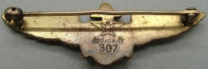 Нагрудный знак Пилот 