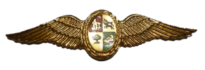 Нагрудный знак Пилот 
