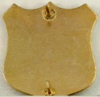 Badge 105th Infantry Regiment 