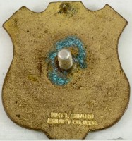 Badge 108th Infantry Regiment 