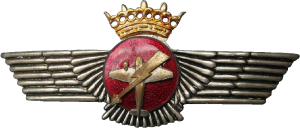 Нагрудный знак Бортовой радист 