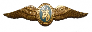 Нагрудный знак Пилот воздушной разведки 