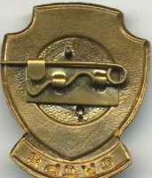 Badge  