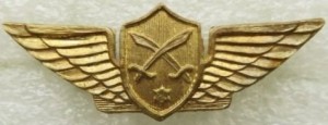 Badge DRUZE PATROL UNIT  
