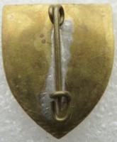Badge PARATROOPERS 226 UNIT COMBAT PATROL 