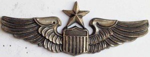 Нагрудный знак Старший пилот 