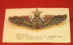 Badge Senior pilot 