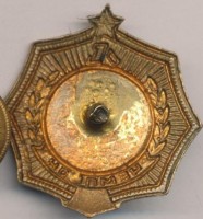 Нагрудный знак Чемпион по плаванию, Ленинград 