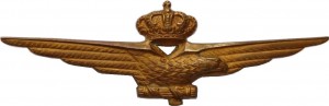 Badge Pilot 