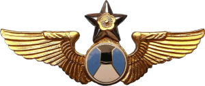 Нагрудный знак Аэрофотограф 