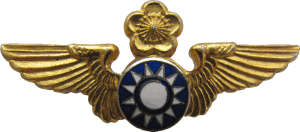 Badge Senior pilot 