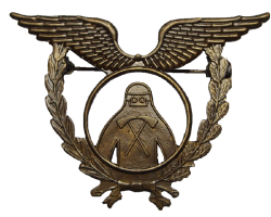 Badge Fireman 