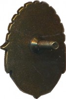 Нагрудный знак Парусное  