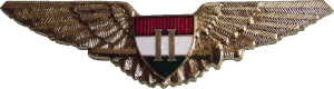 Нагрудный знак Пилот 2 класса 
