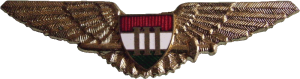 Нагрудный знак Пилот 3 класса 