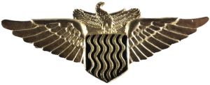 Нагрудный знак Пилот золотистый 