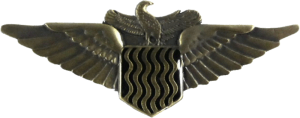 Нагрудный знак Пилот бронзовый 