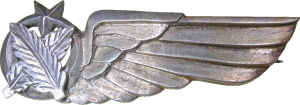 Нагрудный знак Административная служба 