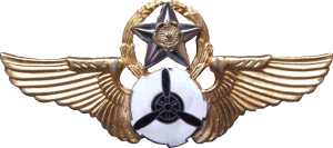 Badge Technician 