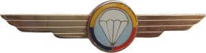 Badge Air Force parachutist 
