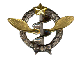 Нагрудный знак Пилот 