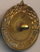 Нагрудный знак 1 разряд Лыжи Мужчины.  