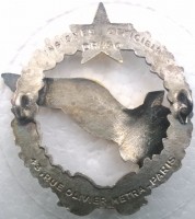 Badge Radionavigator 