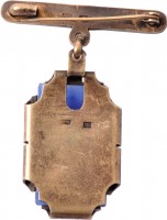 Badge  