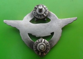 Badge Pilot 