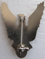 Badge Pilot without class 