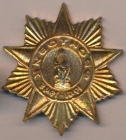 Нагрудный знак Фронтовик  
