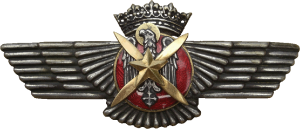 Нагрудный знак Пилот наблюдатель 