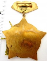 Badge  